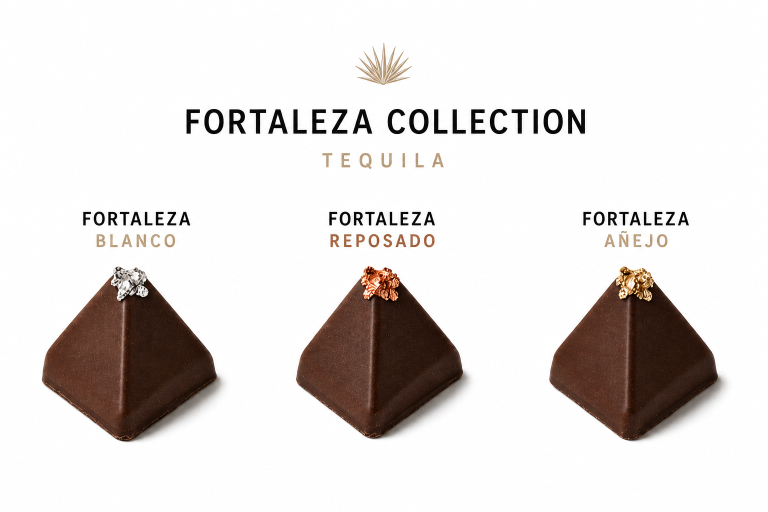 The Rare Collection — Fortaleza